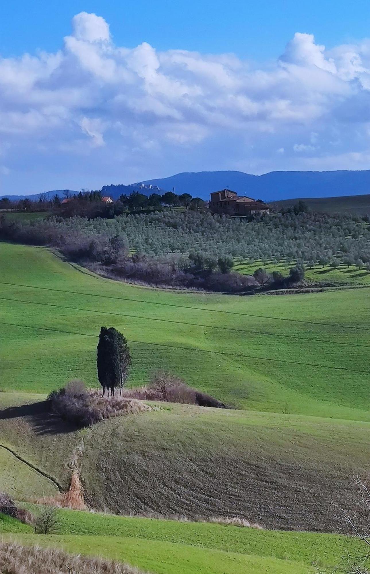 Podere Campiano Volterra Kültér fotó